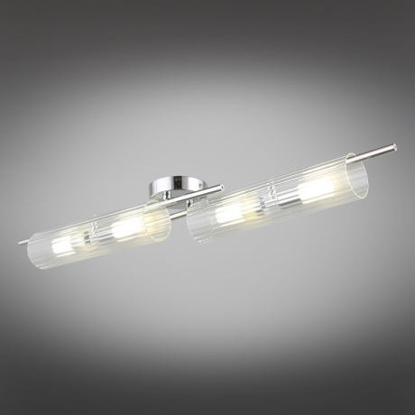 Настенно-потолочный светильник Aployt Lusia APL.315.17.04