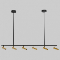 Светильник на штанге Eurosvet Epiphania 20252/6 LED черный/латунь