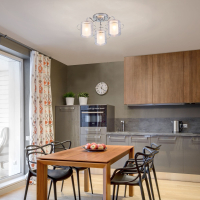 30160/3 хром Потолочная люстра Eurosvet Darcy a044959