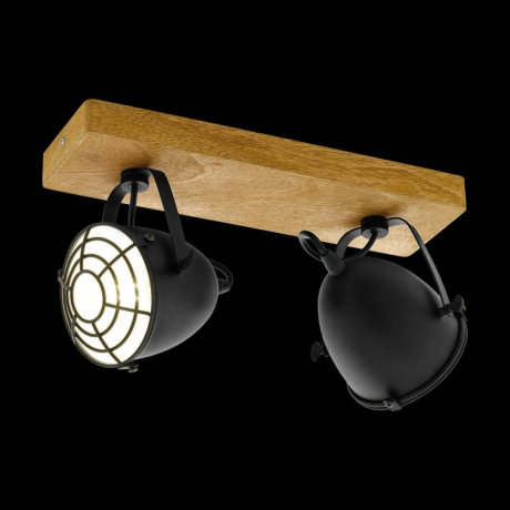 49077 Спот EGLO Gatebeck