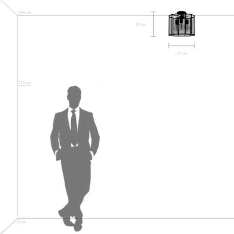 Потолочный светильник Genni Lightstar с поддержкой Маруся 798237