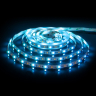 5м. Светодиодная лента белого и RGB цвета 4200К 5050, 14,4W, 24V, 60LED, IP20 Elektrostandard (a053729)
