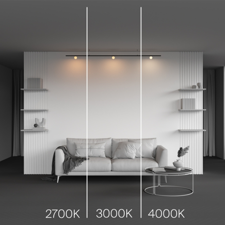 Накладной светильник Maytoni Technical Luna TR185-1-3W2.7K-B