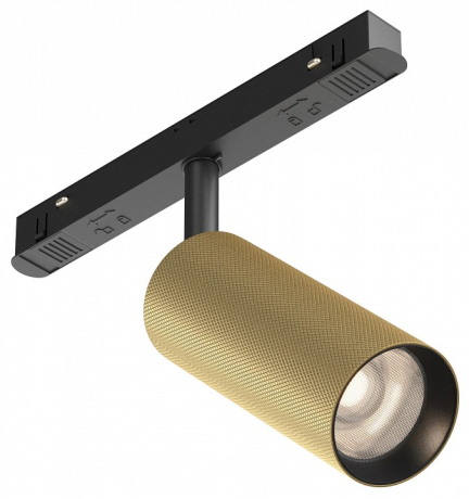 Светильник на штанге Maytoni Technical Artisan TR097-2-12W4K-M-BMG