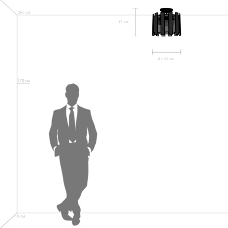 Потолочный светильник Lightstar с поддержкой Маруся Agave 712044