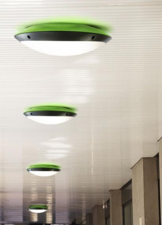 Накладной светильник Fumagalli Lucia 1R3.000.000.AYE27GN1