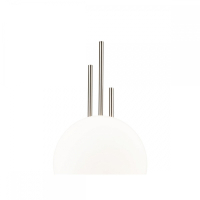 Накладной светильник Indigo Astro 14007/1W Nickel