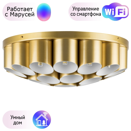 Потолочный светильник Lightstar с поддержкой Маруся Siena 720222