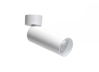 Накладной поворотный светодиодный светильник (блок питания в комплекте) Donolux Rollo DL18895R15N1W ST