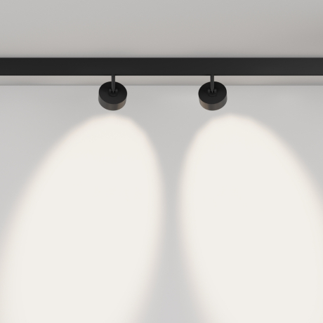 Светильник на штанге Maytoni Technical Lens TR217-4-15WTW-DD-B