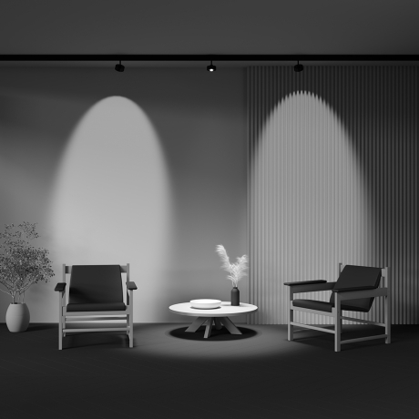 Светильник на штанге Maytoni Technical Lens TR217-4-15WTW-DD-B