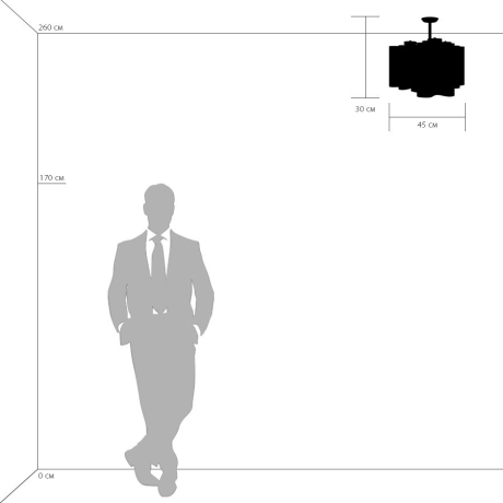 Потолочная люстра Lightstar с поддержкой Маруся Nubi 802030