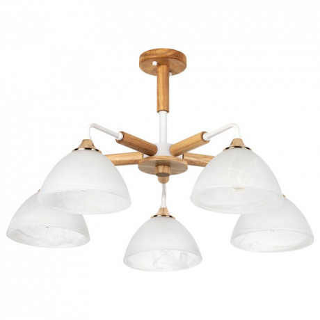 Люстра на штанге Arte Lamp Matthew A5032PL-5BR