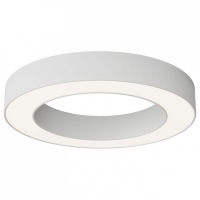 Накладной светильник Maytoni Technical Lua C093CL-36W4K-W