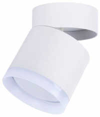 Накладной светильник Favourite Dixi 4709-1C