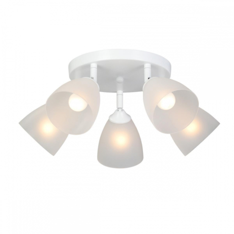 Потолочная люстра Vitaluce V4355 V4355-0/5PL