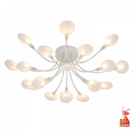 Потолочная люстра F-promo Skein 4198-20C