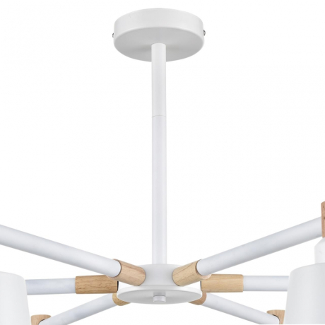 Люстра на штанге Lumion Moderni Rosalina 8097/6C