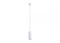 Подвесной светодиодный светильник (блок питания в комплекте) Donolux Rollo DL18895R15W1W S