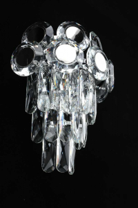 Бра с лампочками APLOYT APL.832.11.02+Lamps