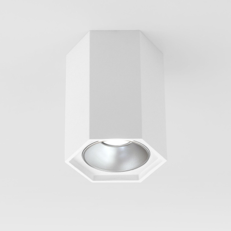 Накладной светодиодный светильник Elektrostandard 25036/LED (a055856)