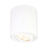 Накладной светильник Ambrella Light TN TN22701