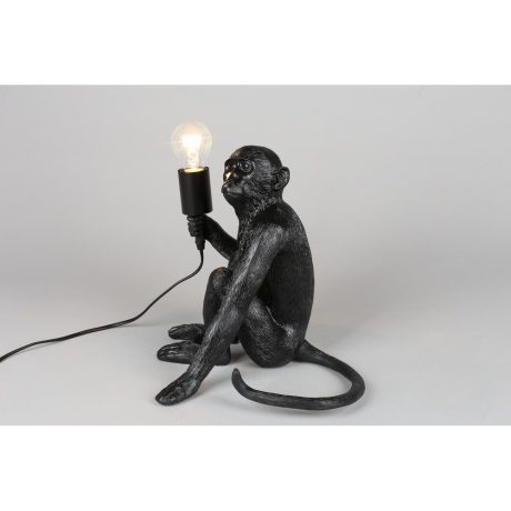 Зверь световой Aployt Magali APL.309.24.01