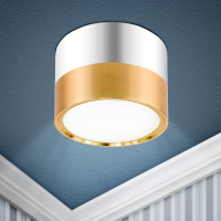 Нарушена упаковка!  <267961> Накладной светильник Эра OL7 GX53 GD/CH (Б0048532)