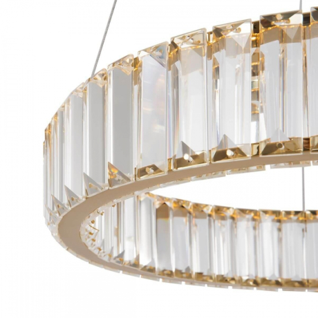 Подвесная диммируемая люстра с пультом ДУ Freya Tier FR5257PL-L17G