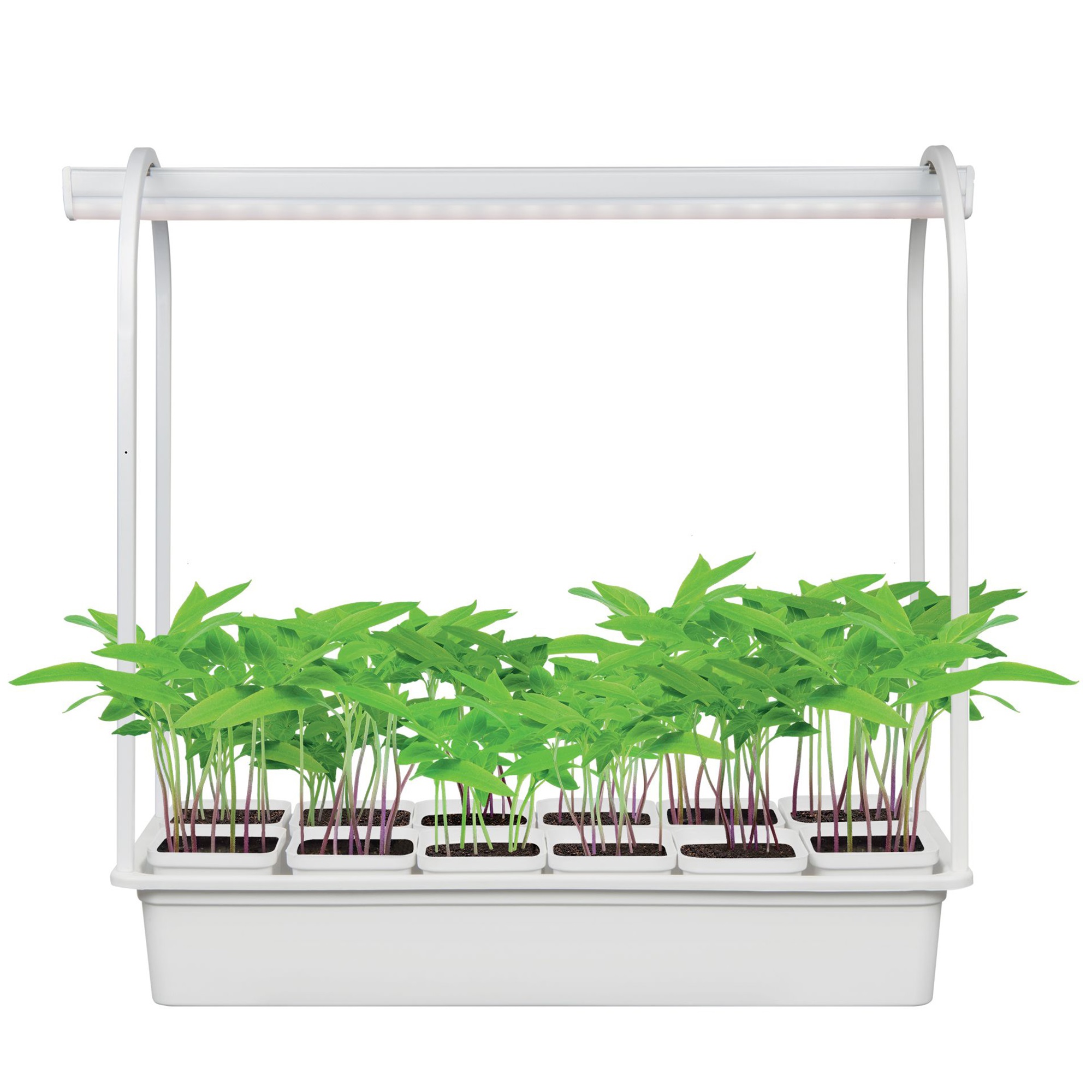 Светильники для растений